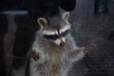 Прикрепленное изображение: IMG_6881.jpg